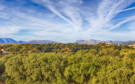 Unspoilt views to Ronda mountains